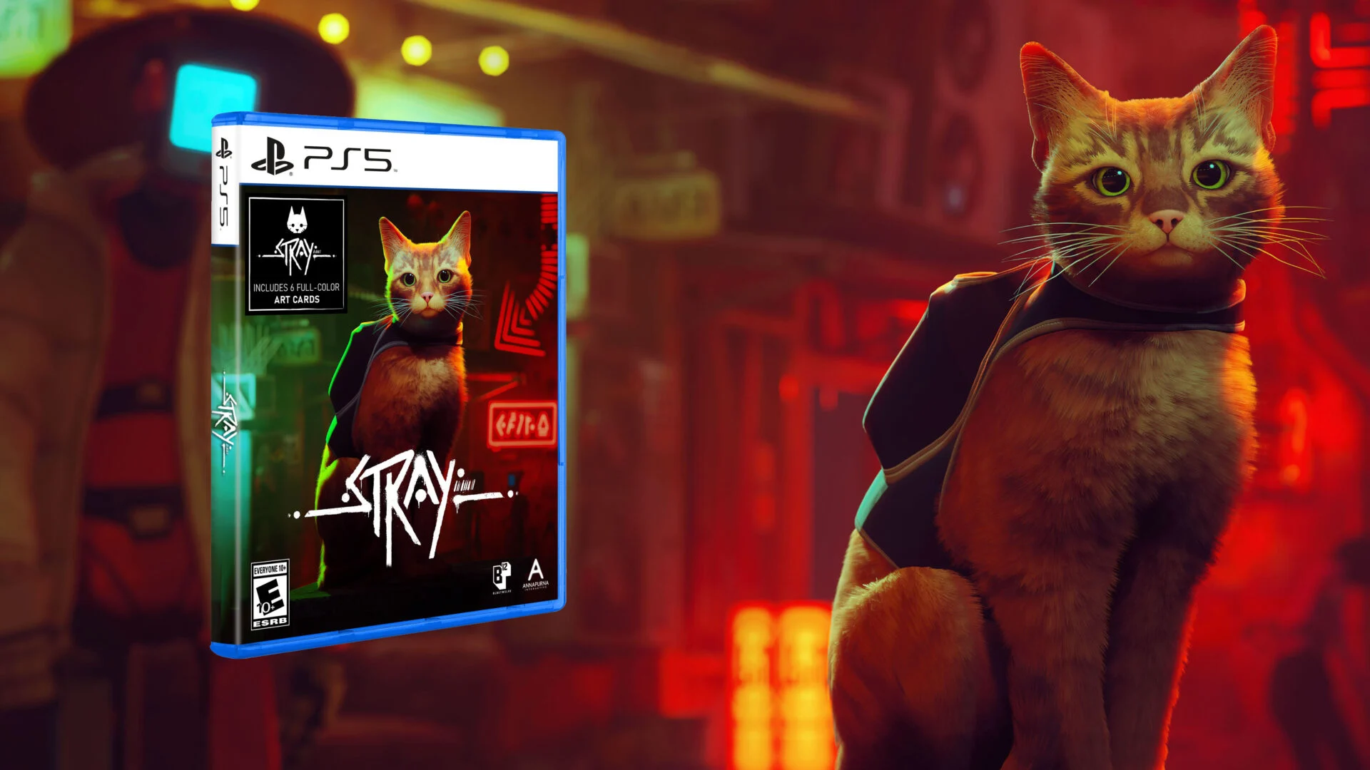 stray ps5 physical 06 08 22 1920x1080 1  Image of stray ps5 physical 06 08 22 1920x1080 1